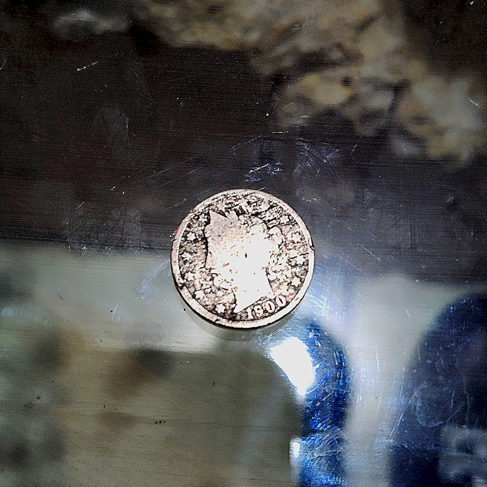 1900 no mint mark V back